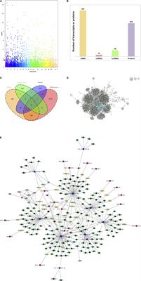 Integrated Multi-Omic Analyses of the Genomic Modifications by Gut Microbiome-Derived Metabolites of Epicatechin, 5-(4′-Hydroxyphenyl)-γ-Valerolactone, in TNFalpha-Stimulated Primary Human Brain Microvascular Endothelial Cells